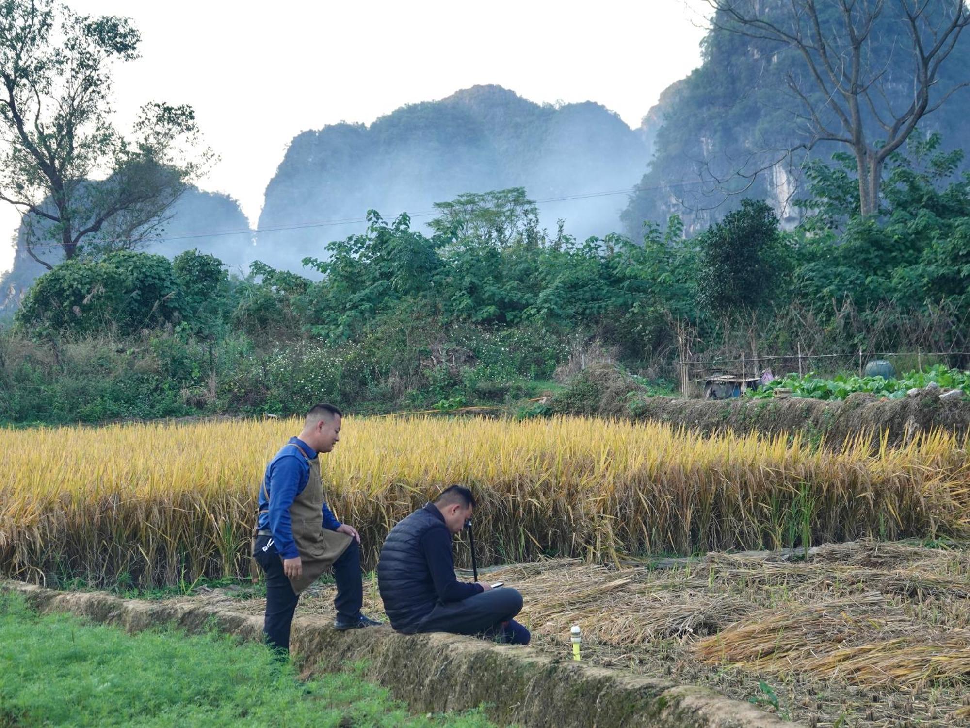Yangshuo Xiao Long River Hotel Luaran gambar